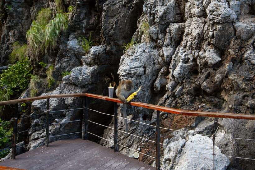 Phi Phi Half Day or Full Day by Longtail to Maya and Bamboo - Viking Cave and the limits of a short visit