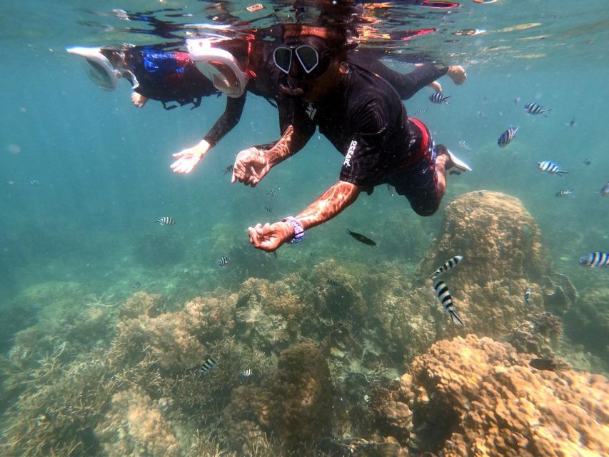 Phi Phi: Half-Day Phi Phi Snorkeling Trip by Longtail Boat - Who should choose this half-day trip