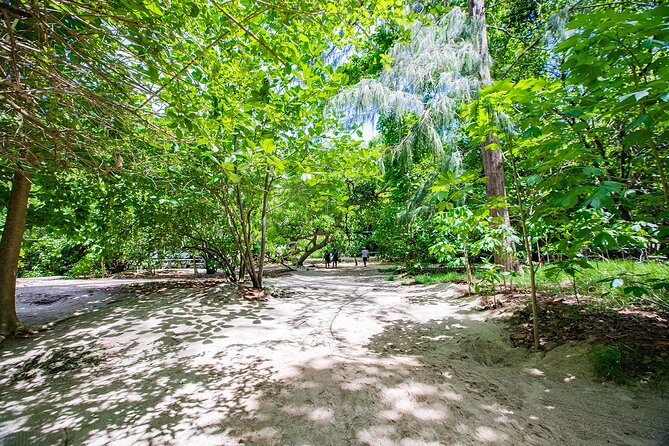 Phi Phi Island and Bamboo Island Snorkeling Tour From Krabi - Viking Cave is a short sightseeing stop
