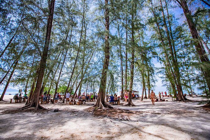 Phi Phi Island and Bamboo Island Snorkeling Tour From Krabi - Phi Phi Don provides the two-hour lunch break