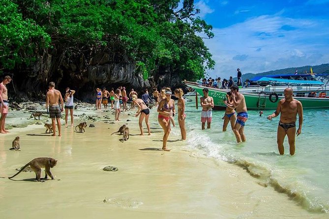 Phi Phi Island Half Day Tour From Phi Phi by Longtail Boat - Is $20.18 good value?