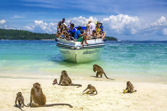 Phi Phi Island Tour by Speedboat from Krabi with Lunch (SHA Plus) - Loh Samah Bay brings the snorkeling
