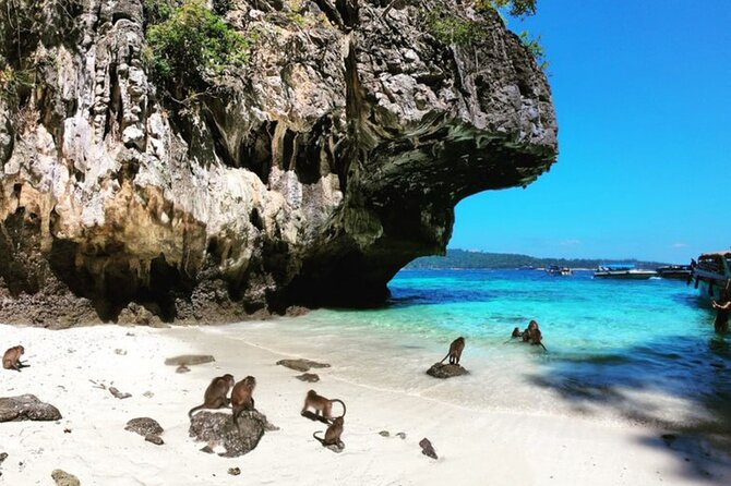 Private Speedboat Tour to Phi Phi Islands From Krabi - Snorkeling east of Phi Phi Leh