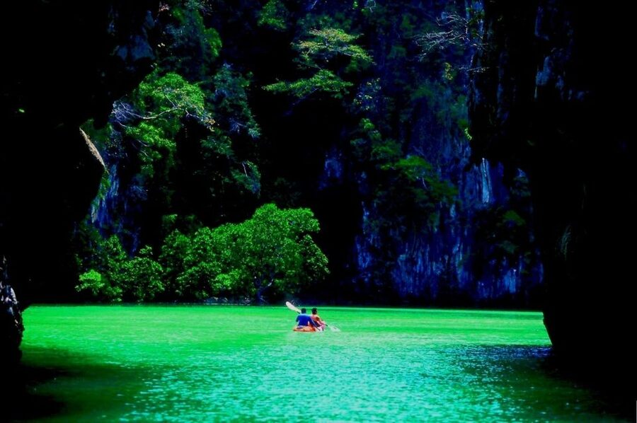 Sea Kayaking in Ao Thalane & Optional Full-Day Hong Island - Wildlife along the six-kilometer paddle