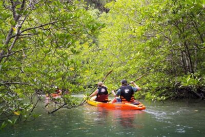 Sea Kayaking in Ao Thalane & Optional Full-Day Hong Island