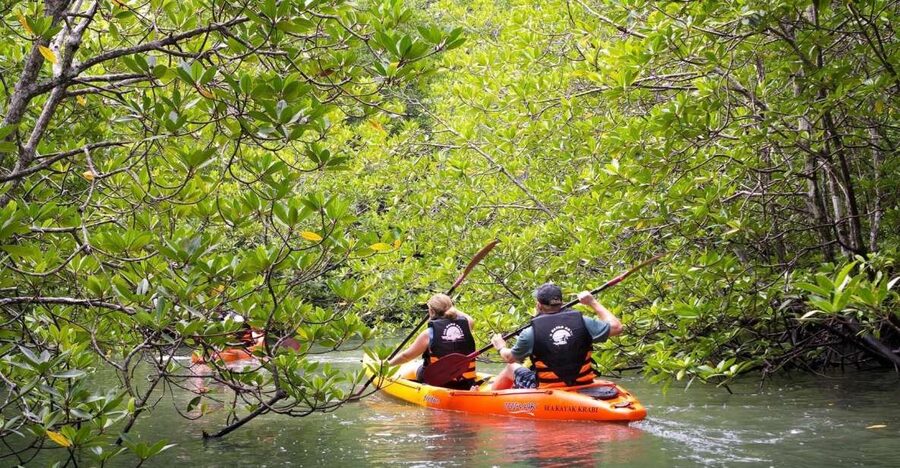Sea Kayaking in Ao Thalane & Optional Full-Day Hong Island - Timing your trip around the tide