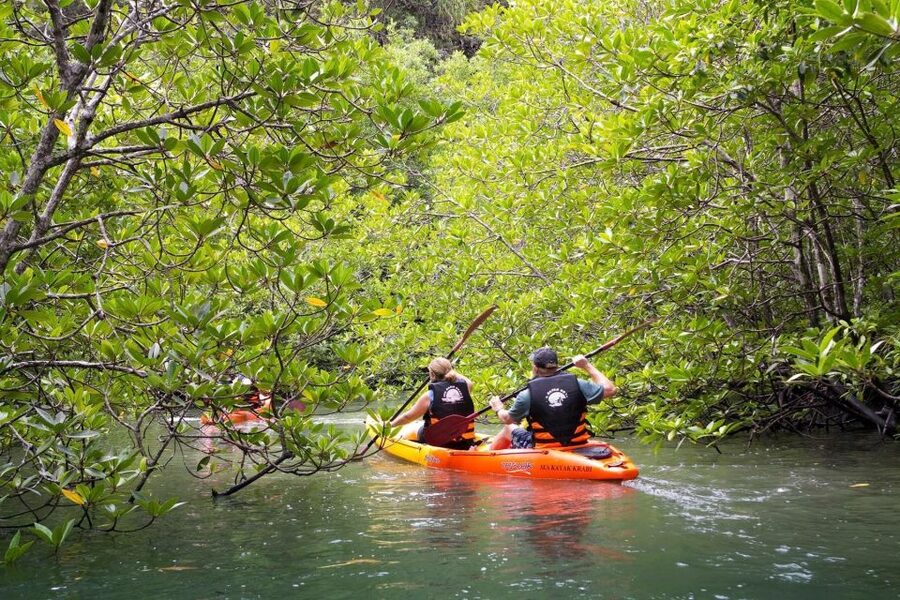 Sea Kayaking in Ao Thalane & Optional Full-Day Hong Island - From the private pier to the mangrove channels
