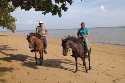 Sunset Horse Riding And BBQ Dinner Tour At Ao Nam Mao Beach Krabi