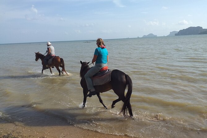 Sunset Horse Riding And BBQ Dinner Tour At Ao Nam Mao Beach Krabi - Practical booking advice for a smoother evening