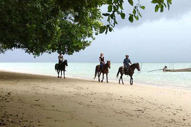 Sunset Horse Riding Tour at Ao Nam Mao Beach Krabi - Who will enjoy this beach ride most