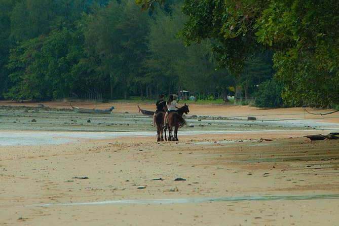 Sunset Horse Riding Tour at Ao Nam Mao Beach Krabi - Weather and cancellation flexibility