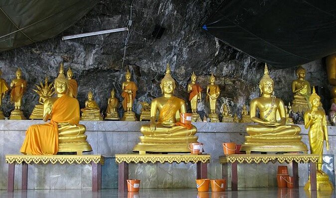 Tiger Cave Temple - Discover the real Jungle - Key points to know before booking