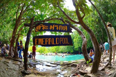 Tiger Cave Temple, Emerald Pool & Hot Springs Tour from Krabi