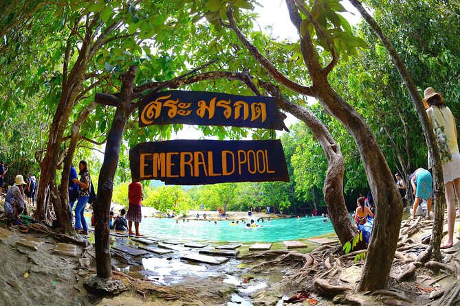 Tiger Cave Temple, Emerald Pool & Hot Springs Tour from Krabi - Tiger Cave Temple is the day’s real physical test