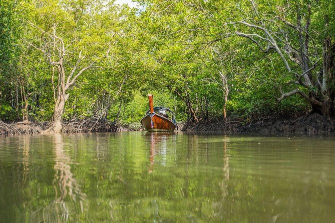 Tung Yee Peng Mangrove Forest Tour By Longtail Boat From Koh Lanta - Longtail boat channels and changing tides