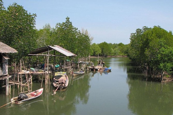 Tung Yee Peng Mangrove Forest Tour By Longtail Boat From Koh Lanta - Monkey Point and the animals of the mangroves