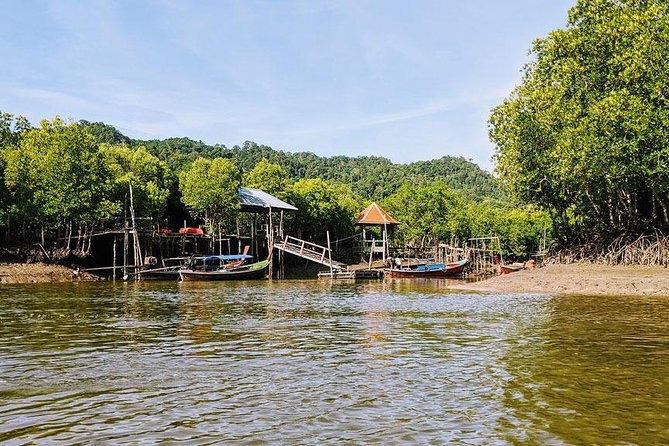 Tung Yee Peng Mangrove Forest Tour By Longtail Boat From Koh Lanta - What the $42.24 price includes in practical terms