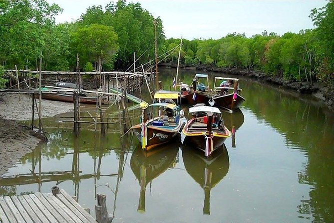 Tung Yee Peng Mangrove Forest Tour By Longtail Boat From Koh Lanta - Who will enjoy this four-hour outing