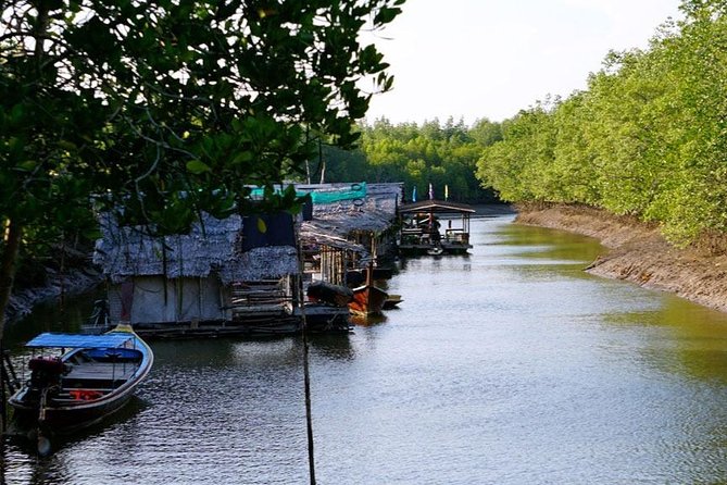 Tung Yee Peng Mangrove Forest Tour By Longtail Boat From Koh Lanta - Pickup from Koh Lanta Yai to Tung Yee Peng Pier
